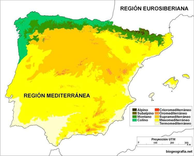 Pisos de vegetación de la península Ibérica