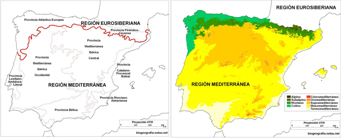 Mapa biogeográficos de España