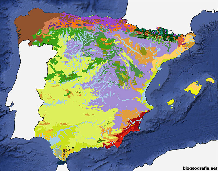 Mapa de las series de vegetación de España