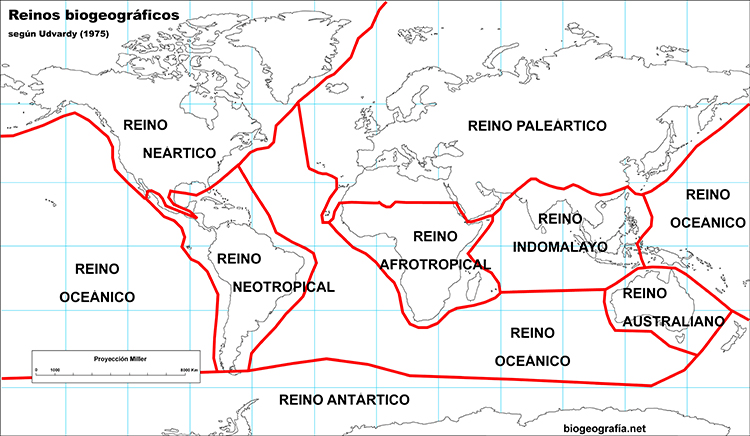 Mapa de los reinos biogeográficos