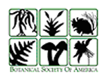 America Journal of Botanic