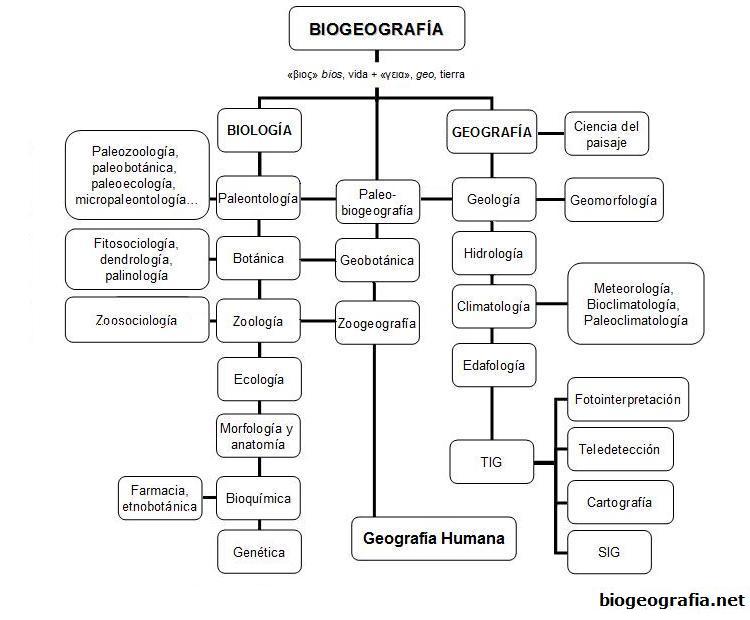 Esquema biogeografía