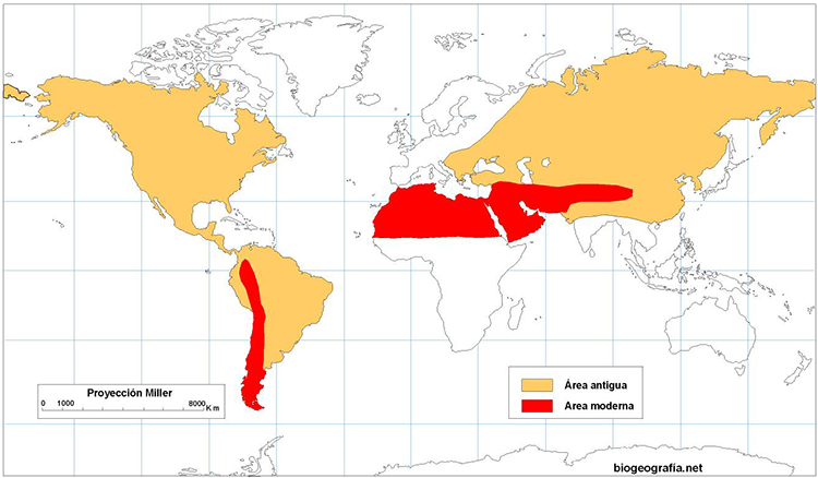 Mapa de distribución disjunto de los camélidos