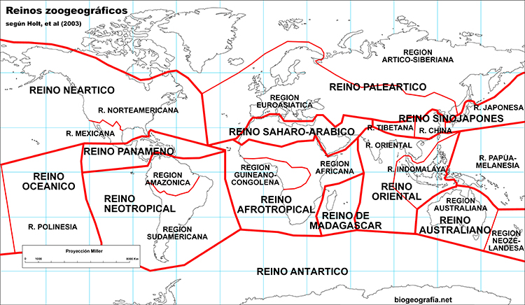 Mapa de los reinos zoogeográficos