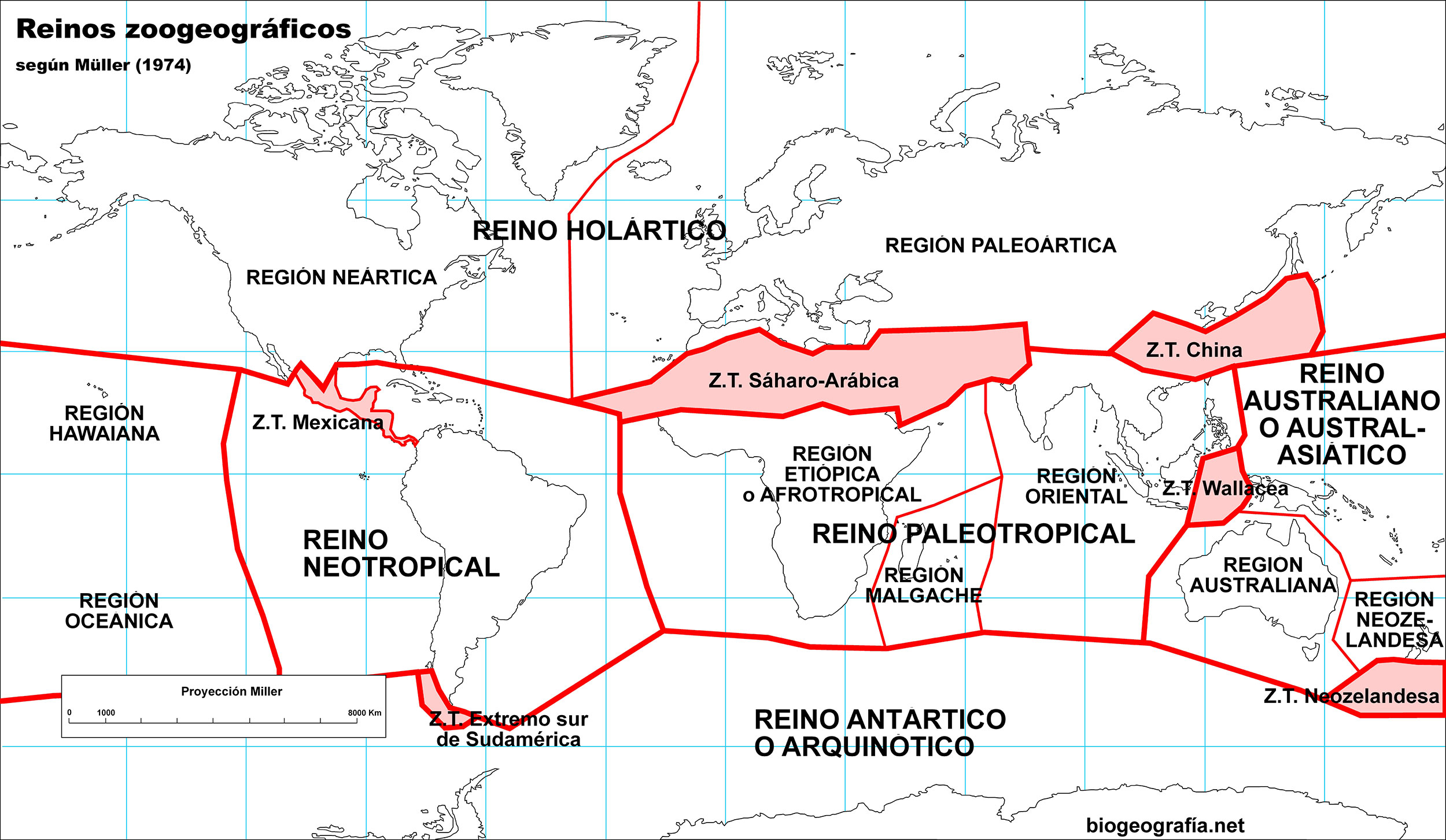 Compartir Imagen Planisferio Con Las Zonas Fitogeograficas