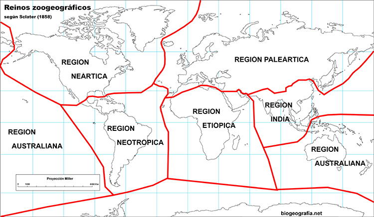 Mapa de reinos zoogeográficos de Sclater