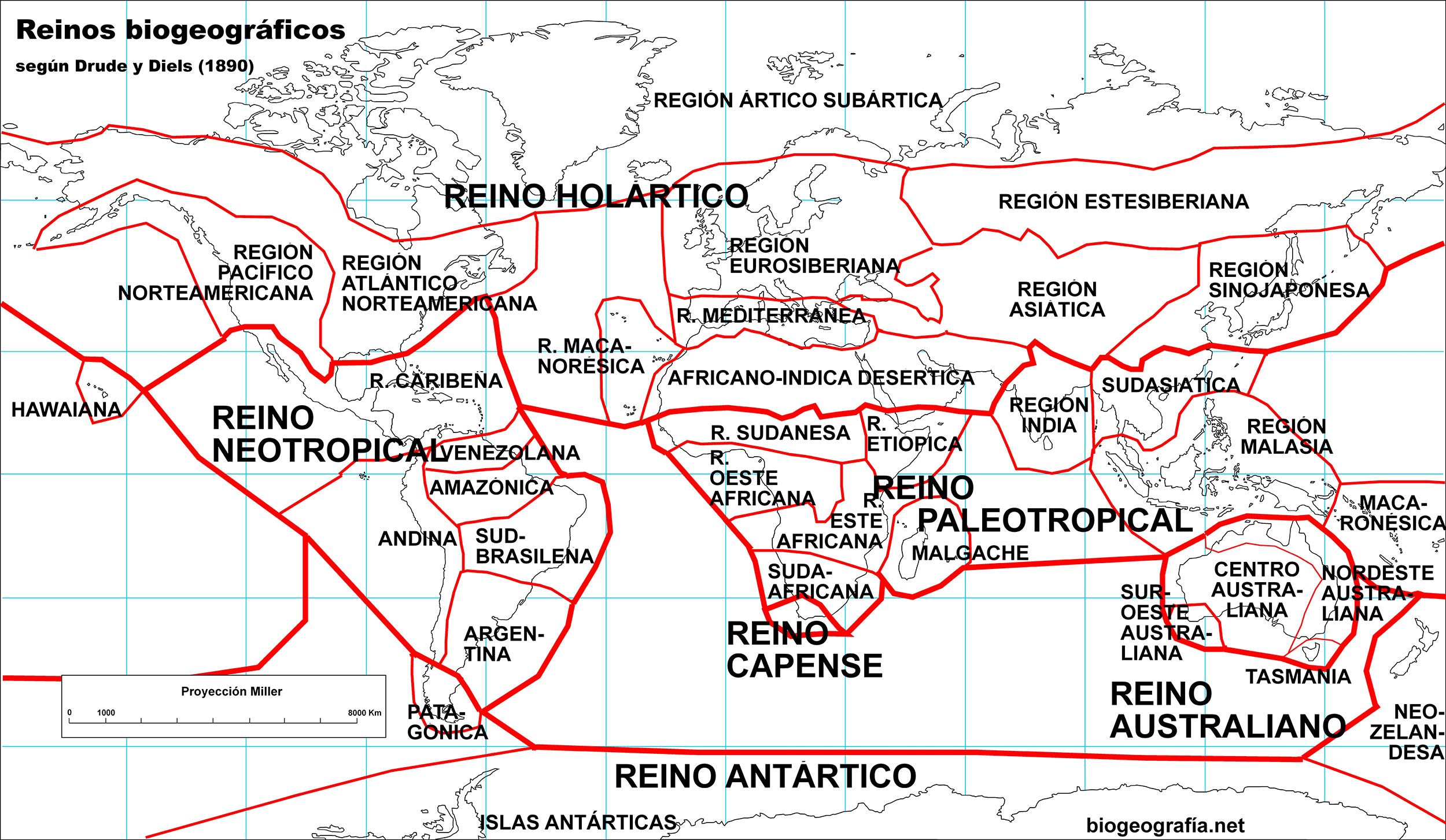 Regiones biogeográficas (continuación)