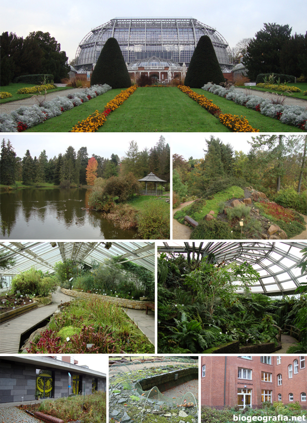 Jardín botánico de Berlín