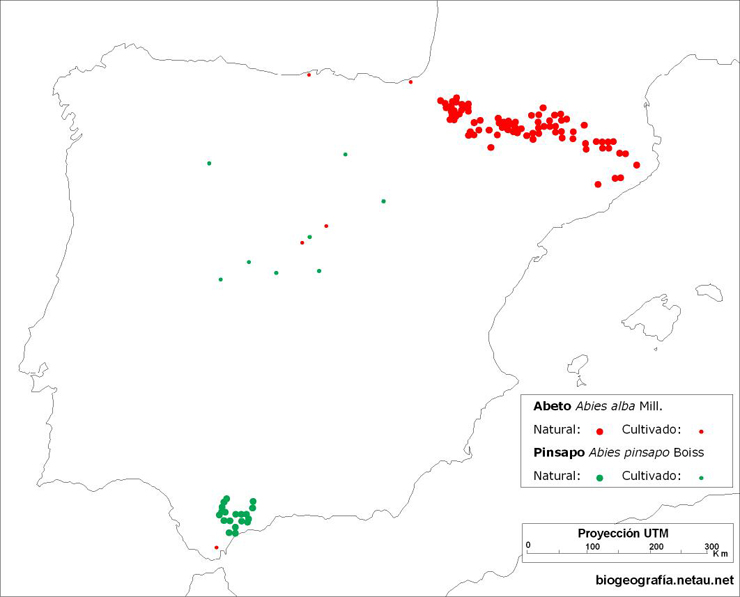 Puntos En Mapas