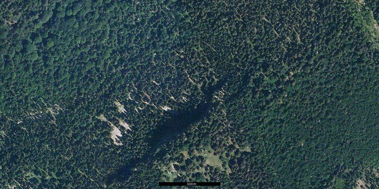 Foto aérea del pinar de pino negro de Ordesa