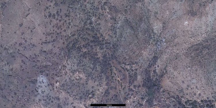 Fotografía aérea de un bosque de tetraclinis